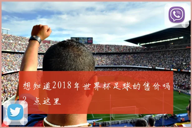 想知道2018年世界杯足球的售价吗？点这里