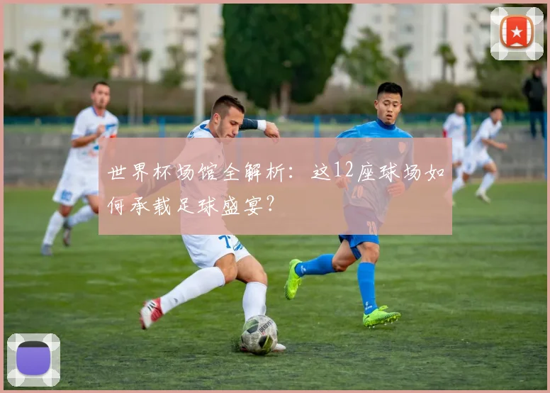 世界杯场馆全解析：这12座球场如何承载足球盛宴？