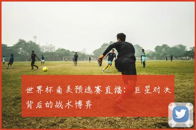 世界杯南美预选赛直播：巨星对决背后的战术博弈