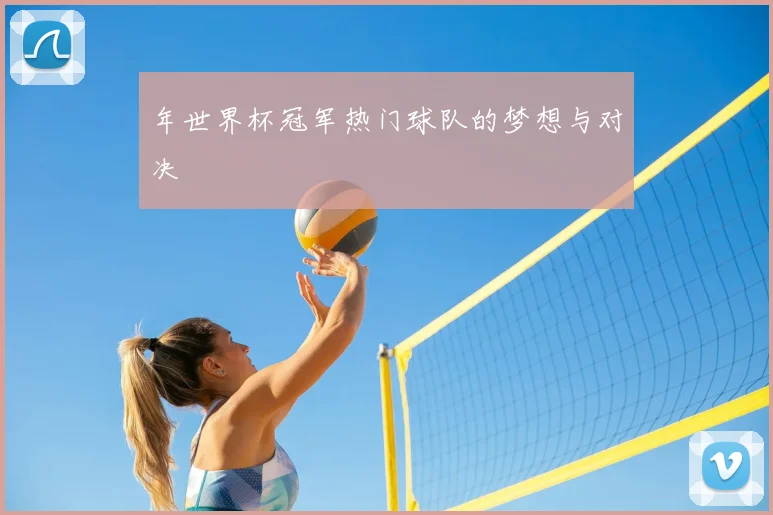 年世界杯冠军热门球队的梦想与对决