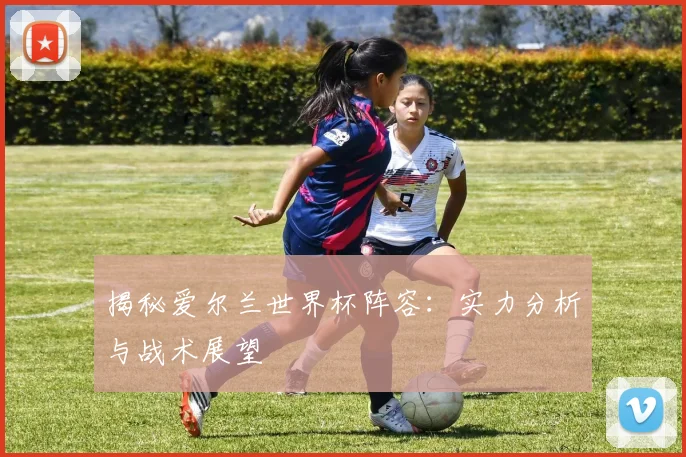 揭秘爱尔兰世界杯阵容:实力分析与战术展望