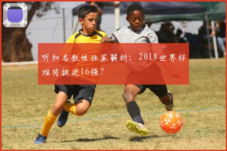 听知名教练独家解析:2018世界杯谁将挺进16强?