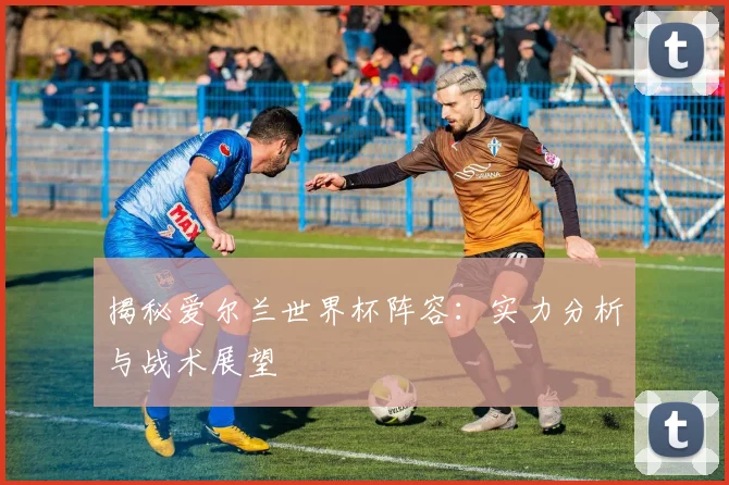 揭秘爱尔兰世界杯阵容:实力分析与战术展望