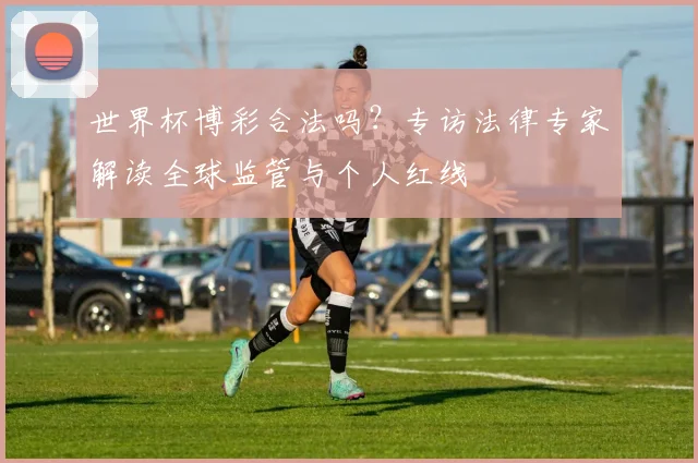 世界杯博彩合法吗？专访法律专家解读全球监管与个人红线