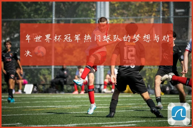 年世界杯冠军热门球队的梦想与对决