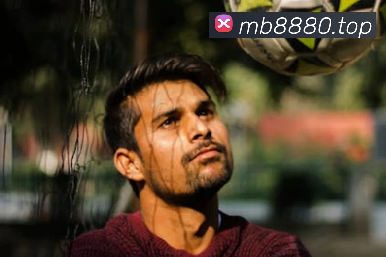 云开app官方登录入口发展历程